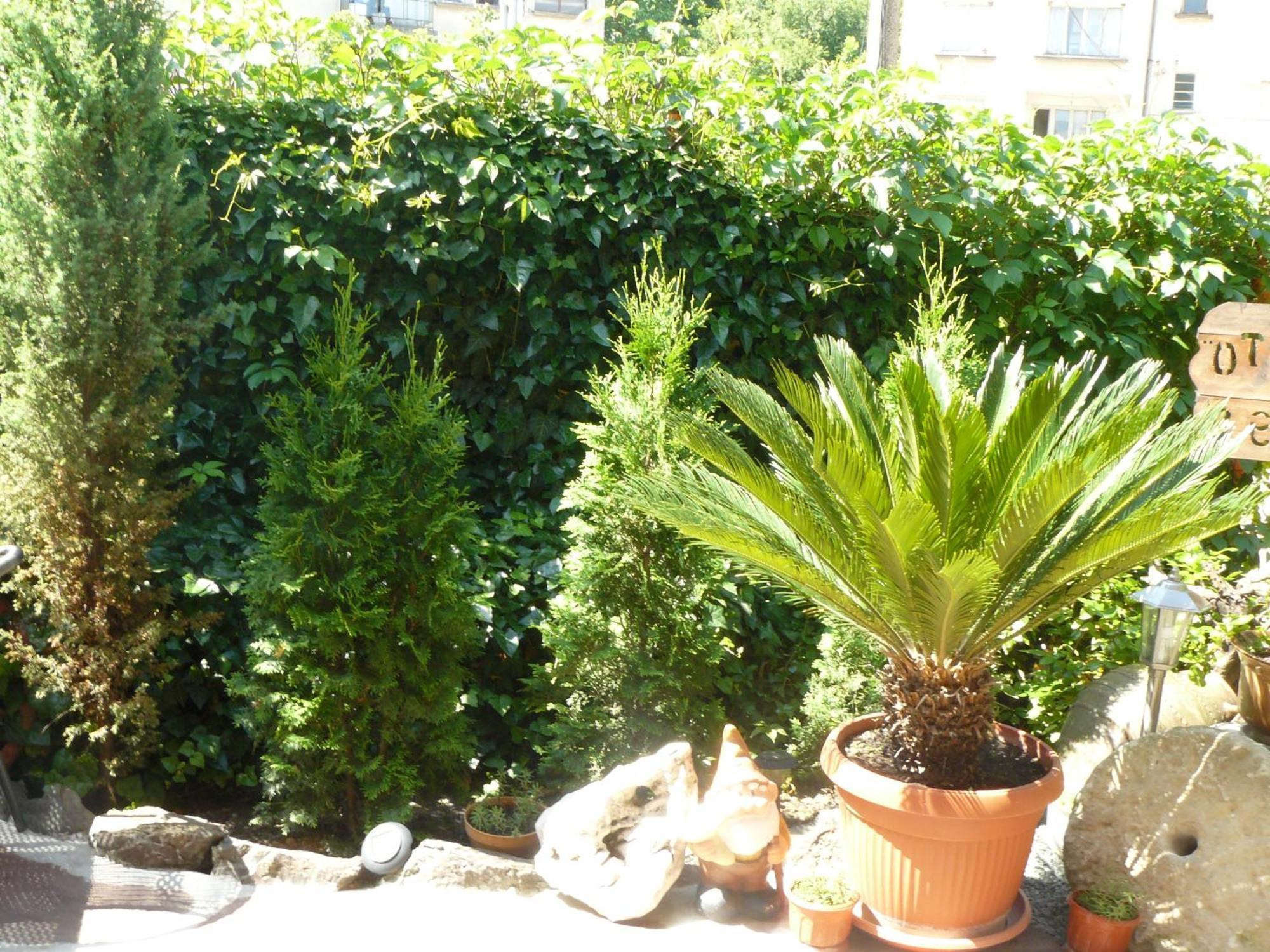 Guesthouse Geto Belogradchik Bagian luar foto